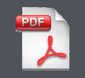 PDF Icon